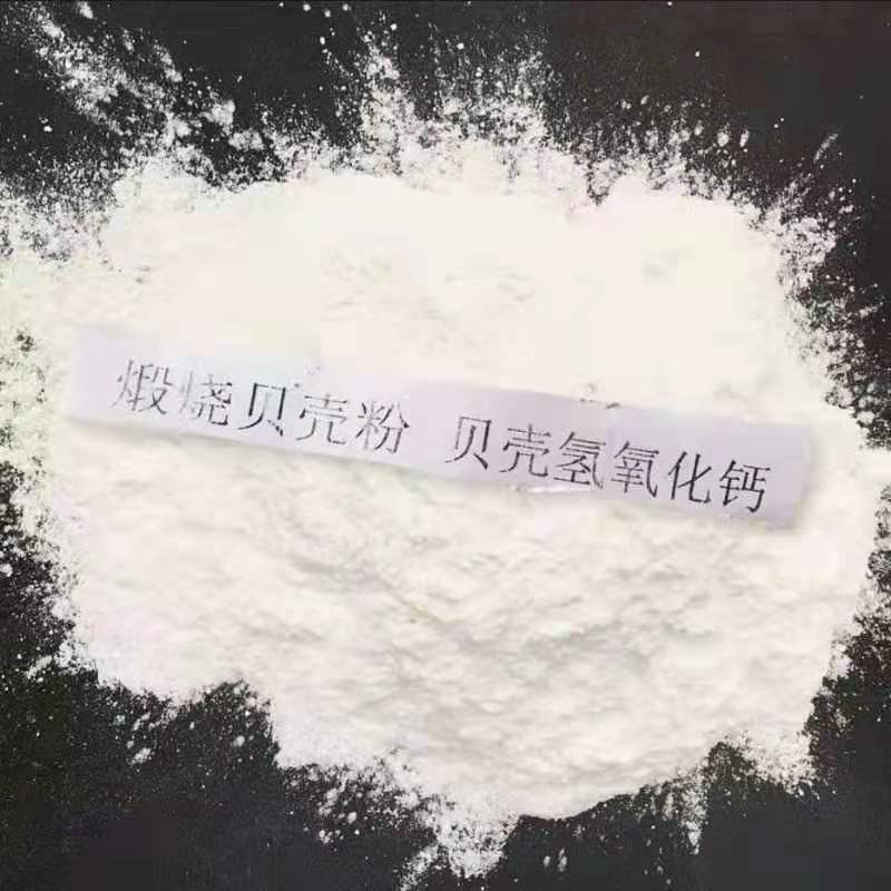 煅烧贝壳粉